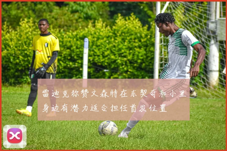 雷迪克称赞文森特在东契奇和小里身边有潜力适合担任首发位置