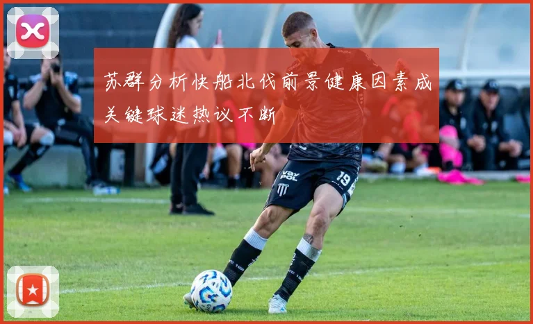 苏群分析快船北伐前景健康因素成关键球迷热议不断