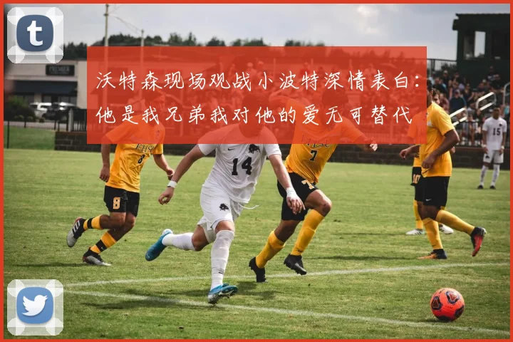 沃特森现场观战小波特深情表白：他是我兄弟我对他的爱无可替代