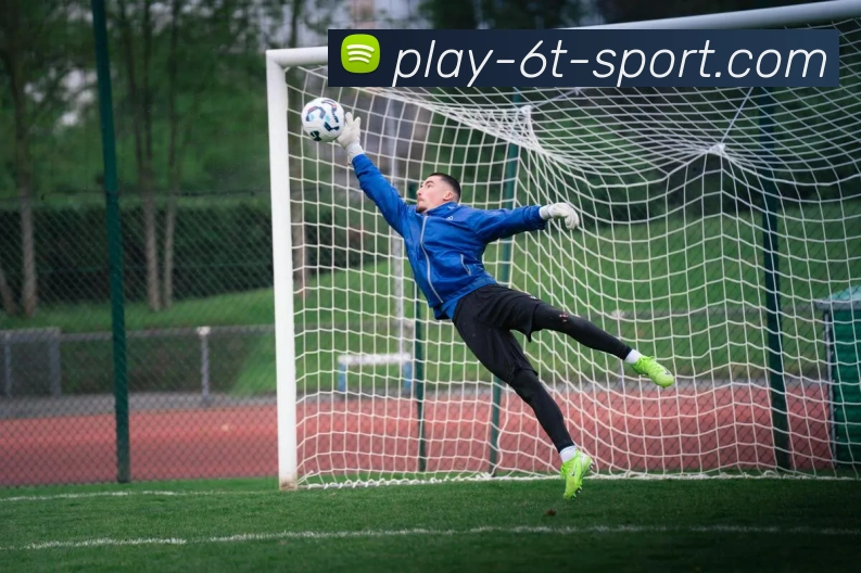 6T体育平台生态图